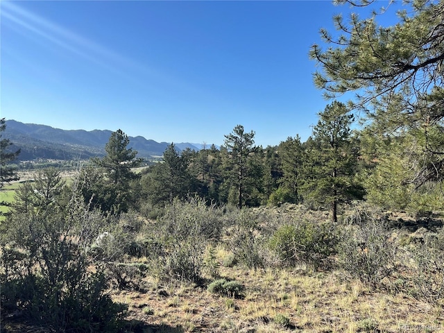 18322 S Lake Rd, Buena Vista, CO 81211