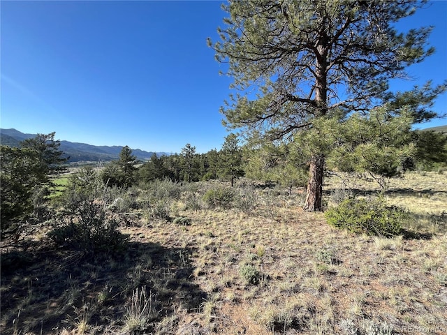 18322 S Lake Rd, Buena Vista, CO 81211