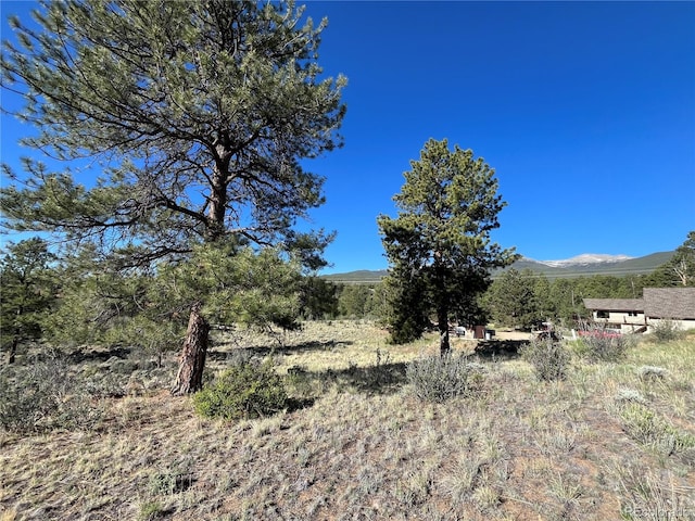18322 S Lake Rd, Buena Vista, CO 81211