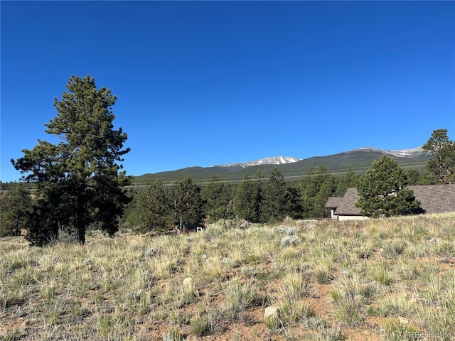 18322 S Lake Rd, Buena Vista, CO 81211
