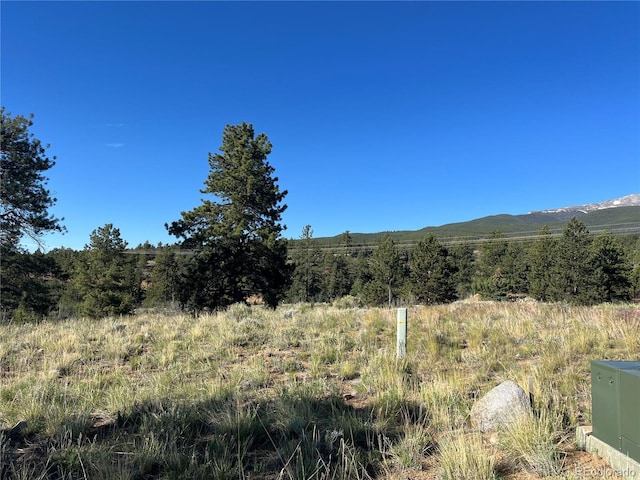 18322 S Lake Rd, Buena Vista, CO 81211