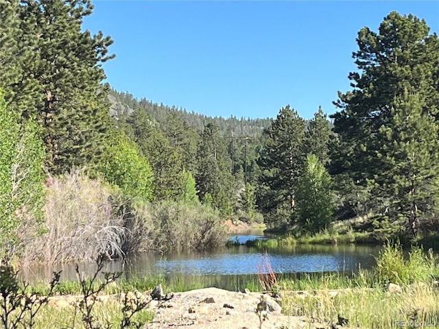 18322 S Lake Rd, Buena Vista, CO 81211