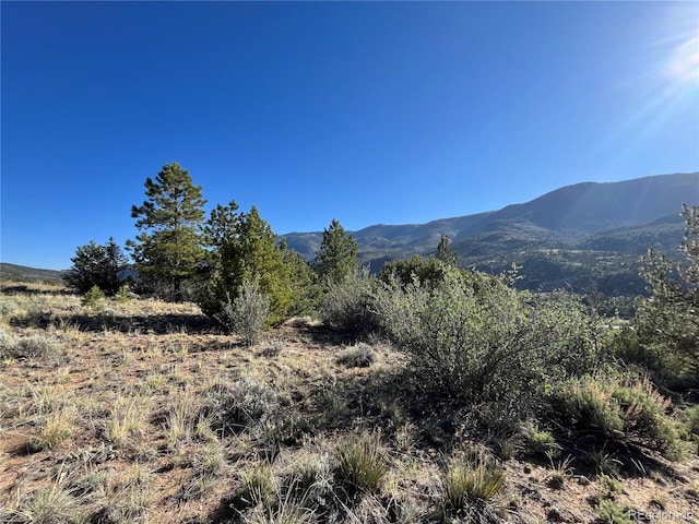 18322 S Lake Rd, Buena Vista, CO 81211