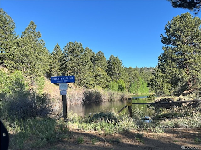 18322 S Lake Rd, Buena Vista, CO 81211