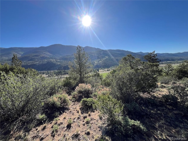 18322 S Lake Rd, Buena Vista, CO 81211