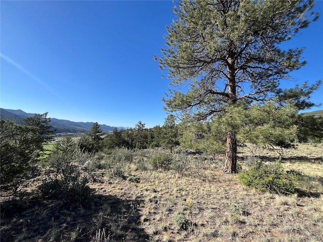 18322 S Lake Rd, Buena Vista, CO 81211