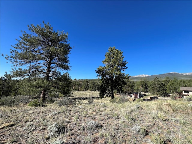18322 S Lake Rd, Buena Vista, CO 81211