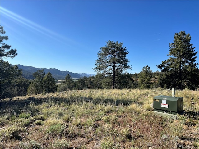 18322 S Lake Rd, Buena Vista, CO 81211