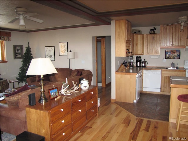 kitchen with sink, light wood-type flooring, dishwasher, and ceiling fan