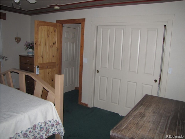 carpeted bedroom featuring a closet