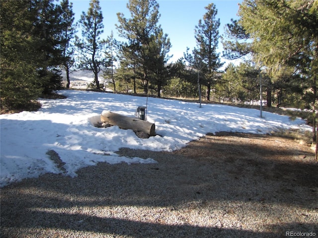 view of yard layered in snow