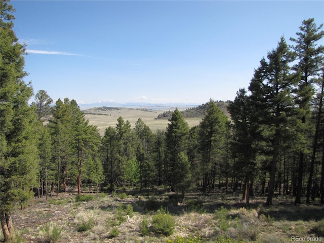 105 Ladigo Ln, Hartsel, CO 80449 - mountain view