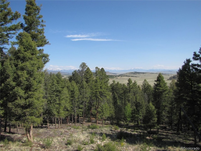 105 Ladigo Ln, Hartsel, CO 80449 - view of mountain backdrop featuring a forest