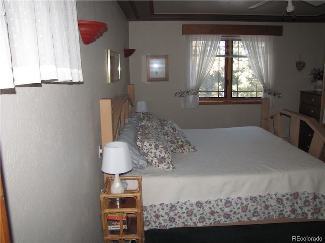 105 Ladigo Ln, Hartsel, CO 80449 - view of bedroom