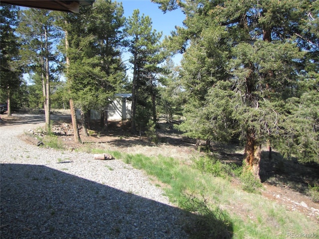 105 Ladigo Ln, Hartsel, CO 80449 - view of yard