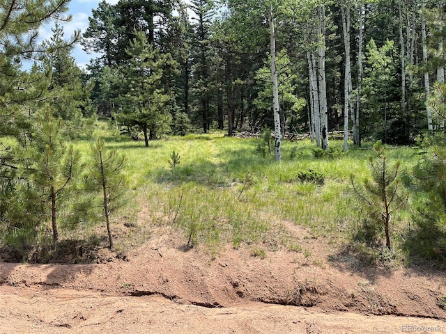 472 Pinewood Rd, Florissant CO, 80816 land for sale