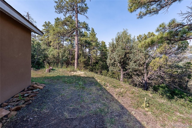 33000 Timber Park Dr, Trinidad, CO 81082 - photo 15
