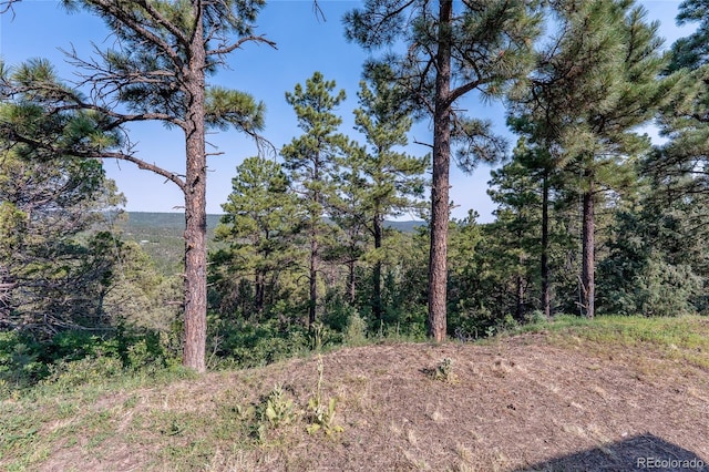 33000 Timber Park Dr, Trinidad, CO 81082 - photo 16