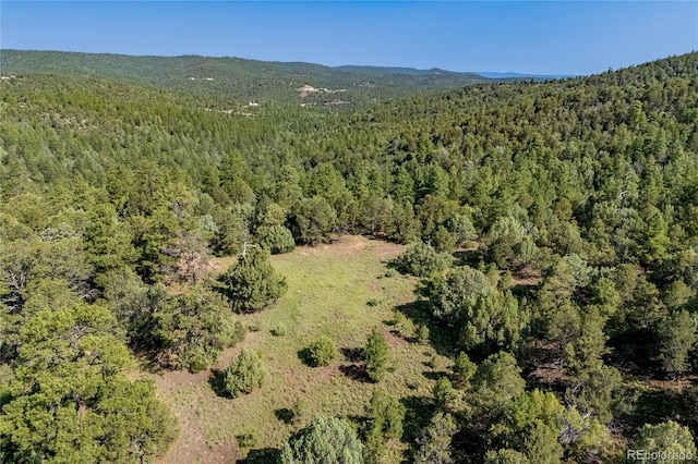 33000 Timber Park Dr, Trinidad, CO 81082 - photo 22