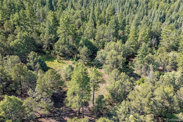 33000 Timber Park Dr, Trinidad, CO 81082 - photo 23