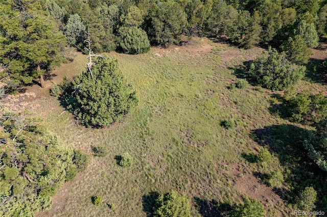 33000 Timber Park Dr, Trinidad, CO 81082 - photo 24