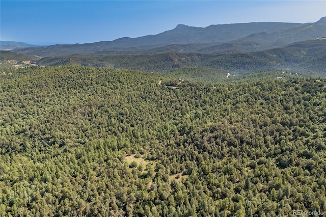 33000 Timber Park Dr, Trinidad, CO 81082 - photo 26