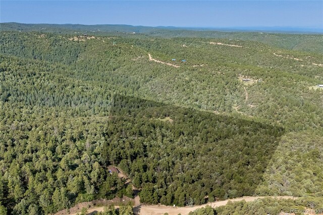 33000 Timber Park Dr, Trinidad, CO 81082 - photo 27