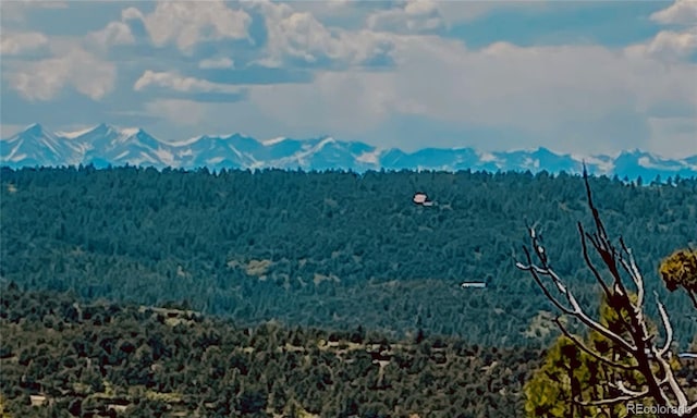 33000 Timber Park Dr, Trinidad, CO 81082 - photo 29