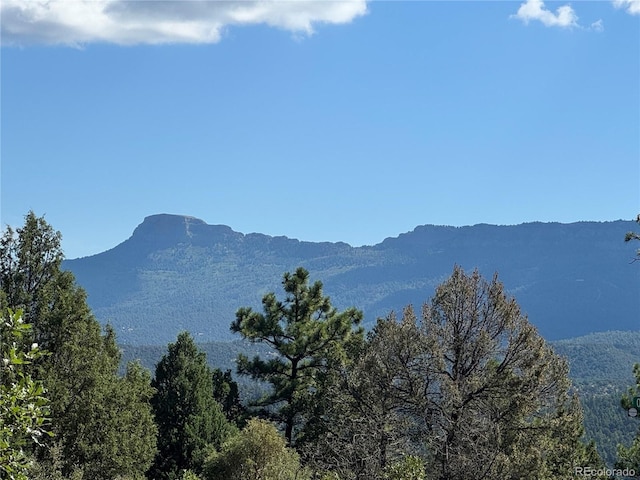 33000 Timber Park Dr, Trinidad, CO 81082 - photo 35