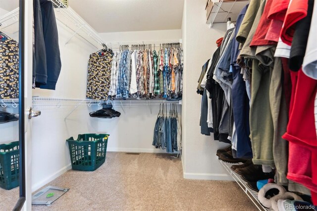 spacious closet featuring carpet