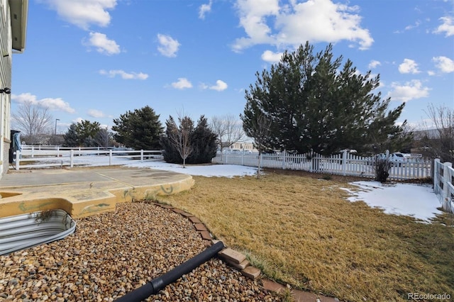 view of yard featuring a patio