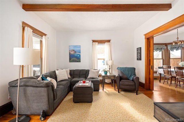 living room with an inviting chandelier, beam ceiling, wood-type flooring, and a healthy amount of sunlight