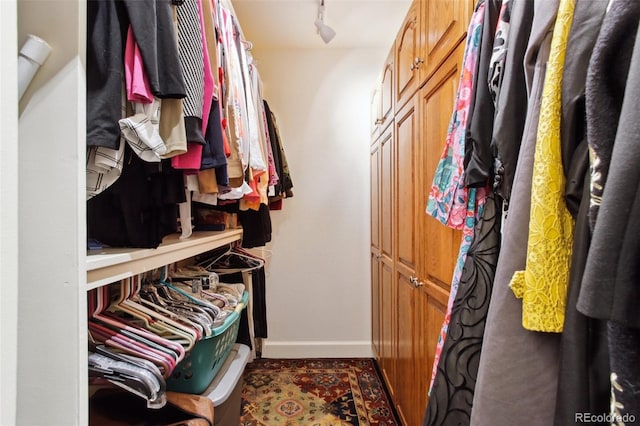 view of spacious closet