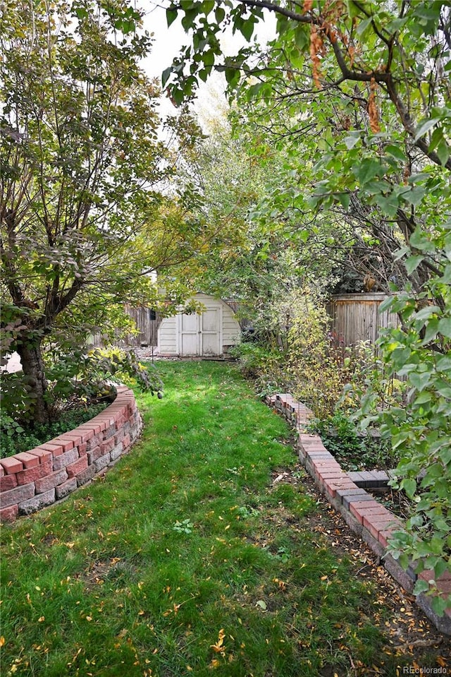 view of yard featuring a storage shed