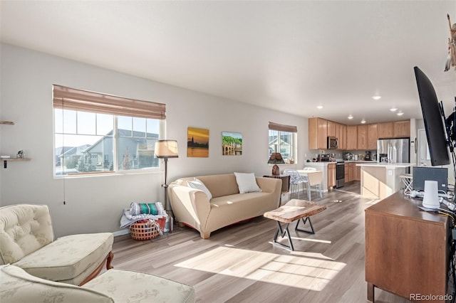 living room featuring light hardwood / wood-style flooring