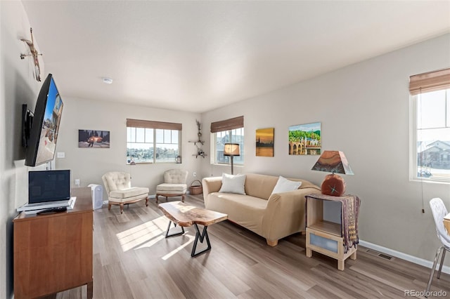 living room featuring hardwood / wood-style floors