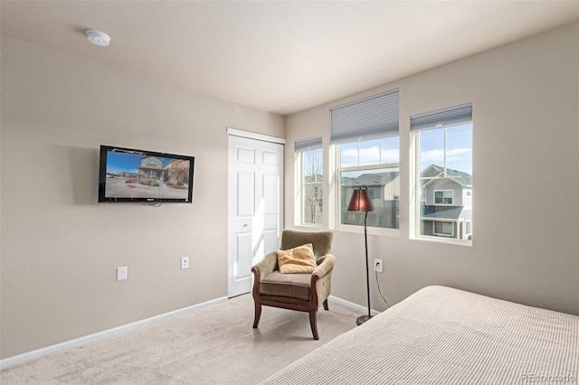 carpeted bedroom featuring a closet