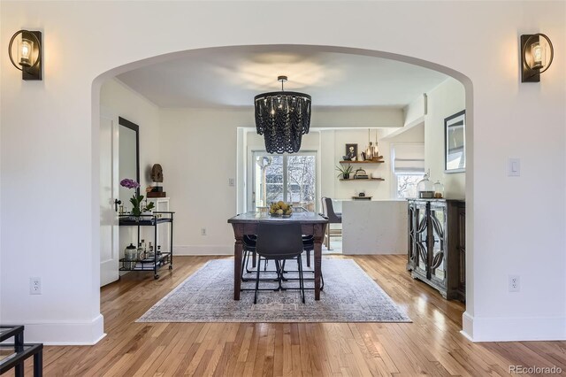 1950 Kearney St, Denver, CO 80220 - photo 8