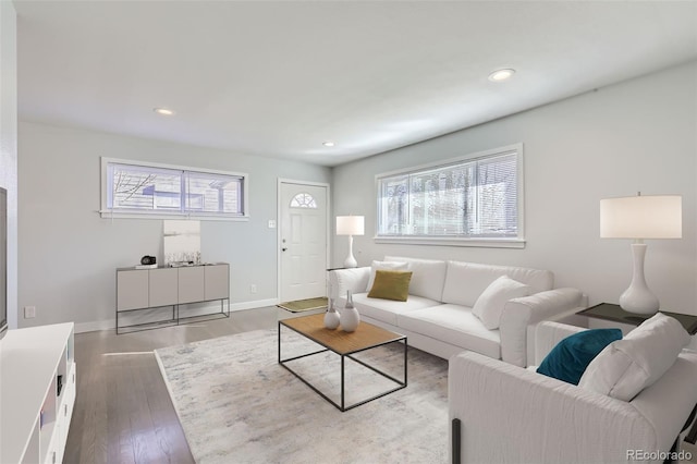 living room with dark hardwood / wood-style floors