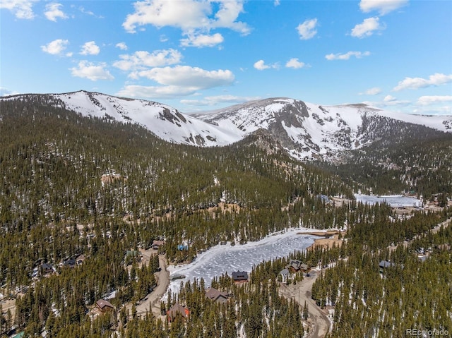 72 Overlook Ct, Idaho Springs, CO 80452 - view of mountain feature featuring a wooded view
