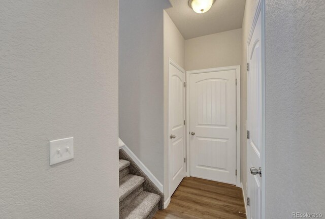 6235 White Wolf Pt, Colorado Springs, CO 80925 - photo 11