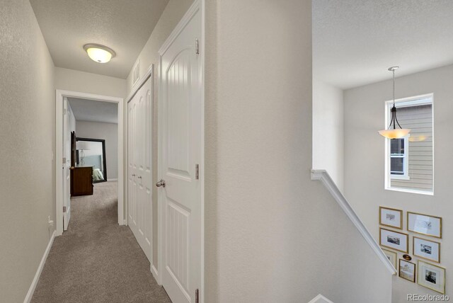 6235 White Wolf Pt, Colorado Springs, CO 80925 - photo 12