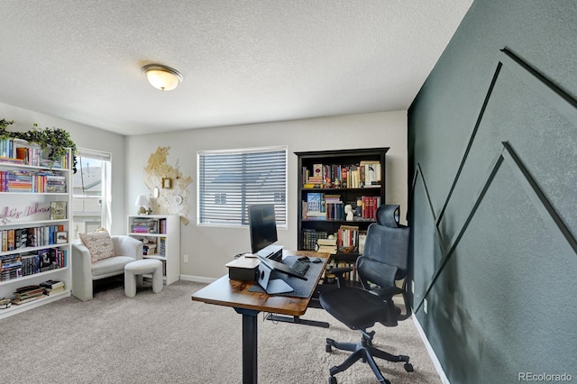 6235 White Wolf Pt, Colorado Springs, CO 80925 - photo 18