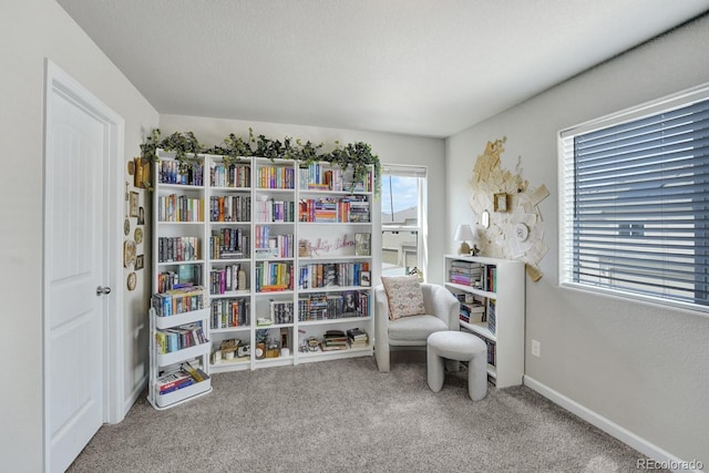 6235 White Wolf Pt, Colorado Springs, CO 80925 - photo 19