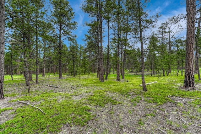 000 Wyandott Dr, Colorado Springs, CO 80908 - photo 1