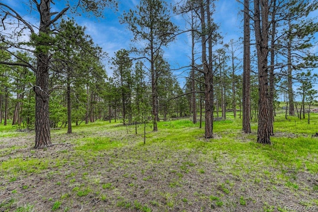000 Wyandott Dr, Colorado Springs, CO 80908 - photo 3