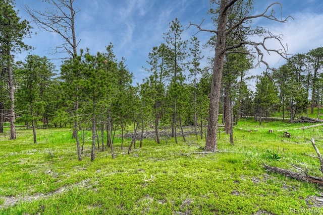 000 Wyandott Dr, Colorado Springs, CO 80908 - photo 4