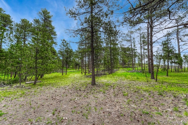000 Wyandott Dr, Colorado Springs, CO 80908 - photo 5