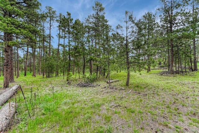 000 Wyandott Dr, Colorado Springs, CO 80908 - photo 6