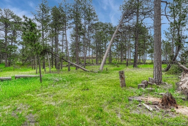 000 Wyandott Dr, Colorado Springs, CO 80908 - photo 7